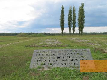 Bild:Jasenovac, 2007, Massengräber und eine 2002 aufgestellte Gedenktafel auf dem ehemaligen Lagergelände, Stiftung Denkmal, Stefan Dietrich