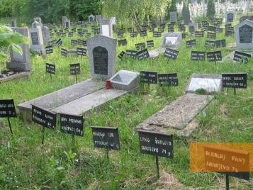 Bild:Diakowar, 2007, Auf dem jüdischen Friedhof, Stiftung Denkmal, Stefan Dietrich