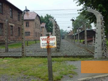 Bild:Auschwitz, 2010, Stacheldrahtzaun im ehemaligen Stammlager, Stiftung Denkmal