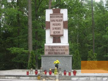 Bild:Wald von Spengawsken, 2010, Zentraler Gedenkstein am Ort der Massenerschießungen, Stiftung Denkmal