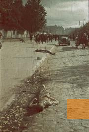 Bild:Kiew, Ende September 1941, Erschossene auf der Marschstrecke nach Babij Jar, Hamburger Institut für Sozialforschung