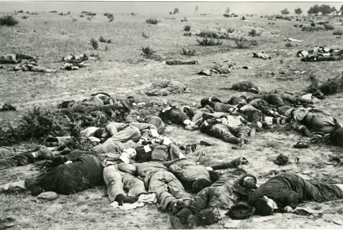 Bei Pinsk, 6. August 1941, Leichen von jüdischen Männern, die tags zuvor von Angehörigen des SS-Kavallerieregiments 2 ermordet wurden, Privatbesitz, Erich Mirek
