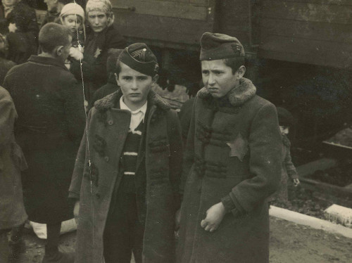 Auschwitz-Birkenau, 1944, Ankunft ungarischer Juden im Vernichtungslager, Yad Vashem
