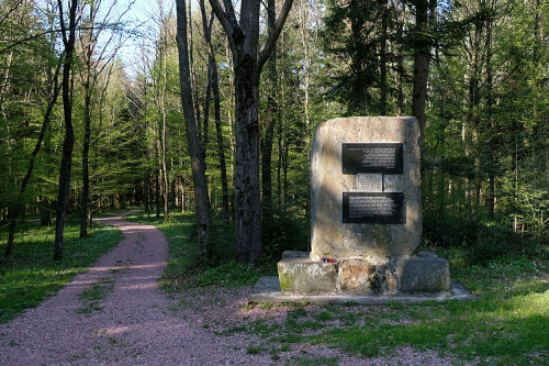 Drohobytsch, 2017, Denkmal bei den Massengräbern im Wald von Broniza, Christian Herrmann
