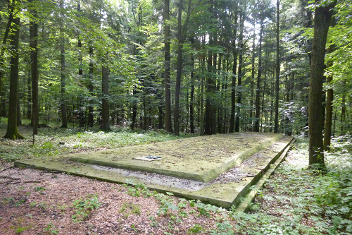 Drohobytsch, 2017, Massengrab im Wald von Broniza, Stiftung Denkmal, Sarah Kunte