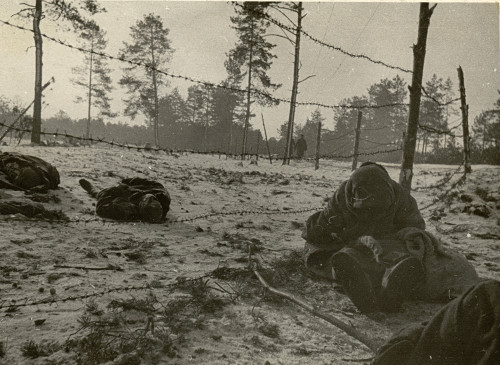 Osaritschi, 1944, Opfer des Lages, Belorusskij gosudarstwennyj muzej istorii welikoj otetschestwennoj wojny, Aufnahme: Podschiwalow