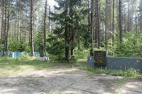 Slonim, 2008, Denkmäler aus dem Jahr 1979 in der Nähe des Dorfes Petralewitschi 1, www.eilatgordinlevitan.com