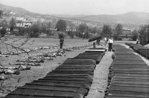 Leitmeritz, 1946, Exhumierung des größten Massengrabes in der Nähe des ehemaligen Konzentrationslagers, Archiv Památníku Terezín