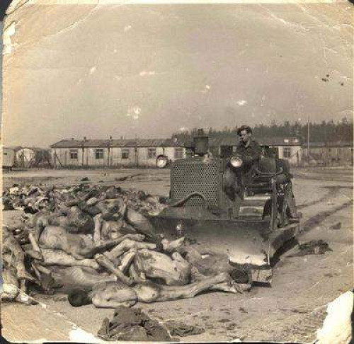 Bergen-Belsen, April 1945, Das Konzentrationslager unmittelbar nach der Befreiung, Yad Vashem