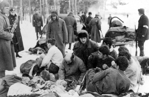 Tschernihiw, Februar 1942, Juden aus der Stadt Schtschors (heute Snowsk), die nach Tschernihiw verschleppt wurden, werden vor ihrer Erschießung gezwungen, sich auszuziehen, Magyar Nemzeti Múzeum