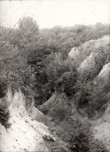 Dnepropetrowsk, o.D., Nachkriegsaufnahme vom Ort der Massenerschießung im Botanischen Garten, Yad Vashem