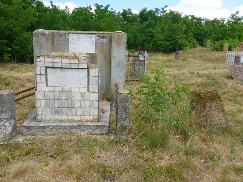 Berschad, 2015, Auf dem jüdischen Friedhof, Edgar Hauster