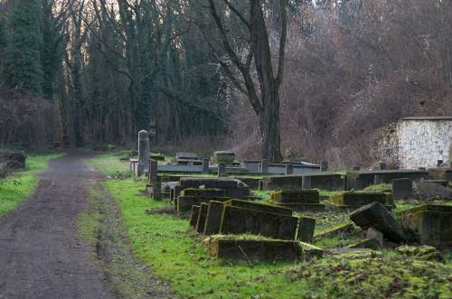 Tschenstochau, 2013, Auf dem jüdischen Friedhof, Takimiro