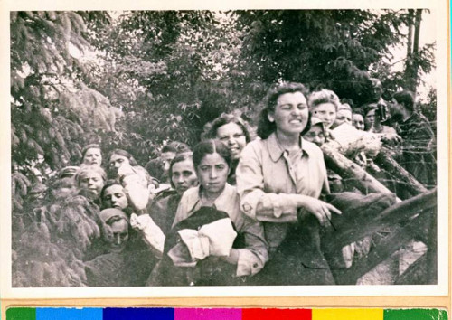 Łomazy, 18. August 1942, Jüdische Frauen auf dem Weg in ein Waldstück, wo sie erschossen wurden, Staatsarchiv Hamburg