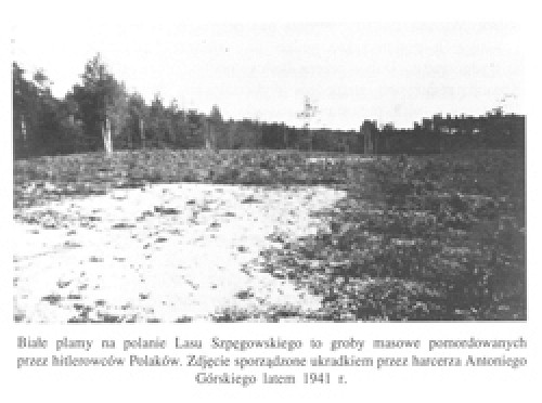 Wald von Spengawsken, 1941, Ort von Massenexekutionen, Miejska Biblioteka Publiczna im. ks. Bernarda Sychty w Starogardzie Gdańskim
