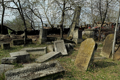 Dorohoi, 2015, Der jüdische Friedhof, Christian Herrmann