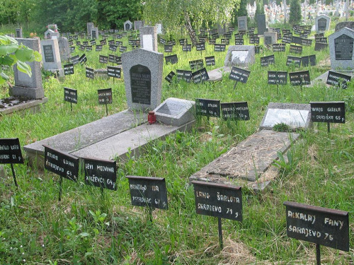 Diakowar, 2007, Auf dem jüdischen Friedhof, Stiftung Denkmal, Stefan Dietrich