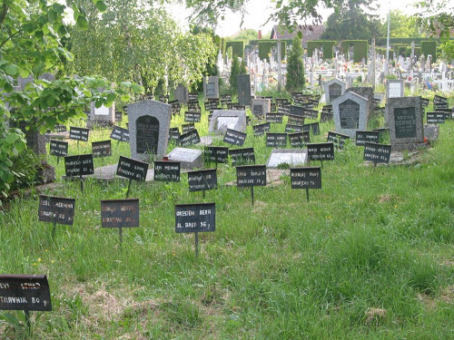 Diakowar, 2007, Auf dem jüdischen Friedhof, Stiftung Denkmal, Stefan Dietrich