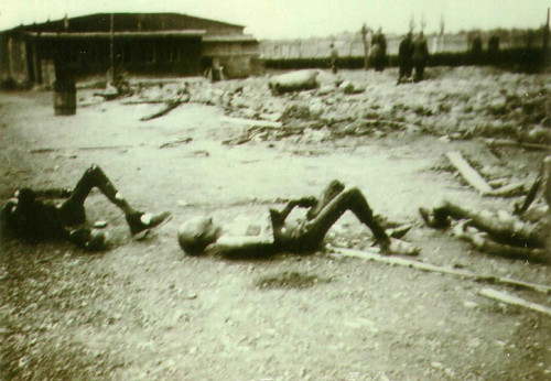 20. April 1945, Opfer des Massakers im KZ-Außenlager Abtnaundorf, National Archives Washington