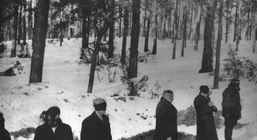 Palmiry, 1940, Aufnahme des polnischen Untergunds von einer Hinrichtung, gemeinfrei