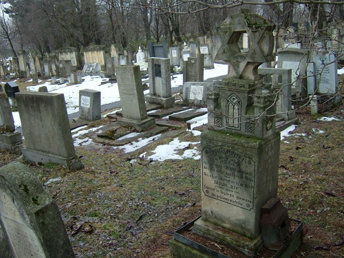 Radautz, 2006, Der jüdische Friedhof von Radautz, Stiftung Denkmal, Roland Ibold