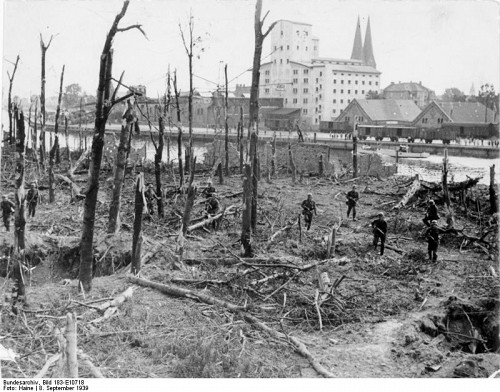 Westerplatte, 1939, Zerschossener Wald auf der Westerplatte nach der Einnahme am 8. September 1939, Bundesarchiv, Bild 183-E10718
