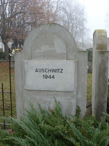 Békéscsaba, 2009, Detailansicht des Holocaustdenkmals auf dem jüdischen Friedhof, Tünde Kotricz