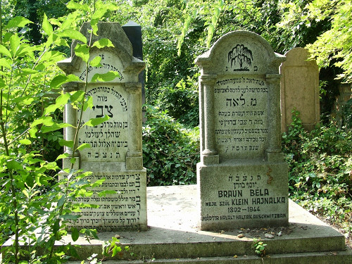 Békéscsaba, 2005, Grabsteine auf dem jüdischen Friedhof, jewish-bekescsaba.com