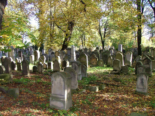 Tarnów, 2004, Auf dem jüdischen Friedhof, Emmanuel Dyan