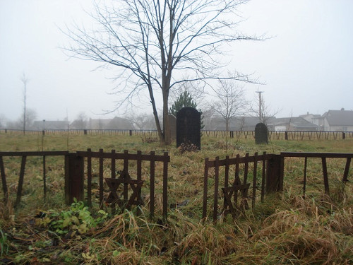 Schwestnau, 2011, Jüdischer Friedhof, Monika Žąsytienė