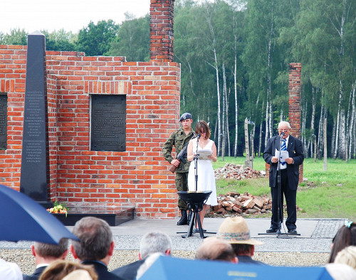Auschwitz-Birkenau, 2009, Gedenkveranstaltung am Denkmal, RomaTrial e.V.