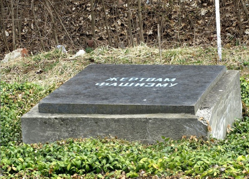 Rohatyn, 2011, Denkmal »Den Opfern des Faschismus« auf dem Alten Friedhof, Rohatyn Jewish Heritage, Jay Osborn