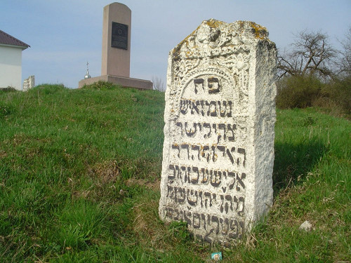 Rohatyn, 2013, Auf dem Neuer Jüdischen Friedhof, Christian Herrmann