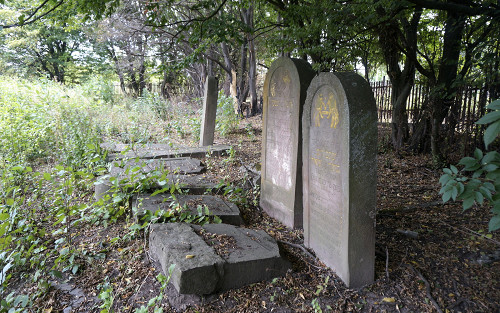 Rohatyn, 2015, Neuer Jüdischer Friedhof, Rohatyn Jewish Heritage, Jay Osborn