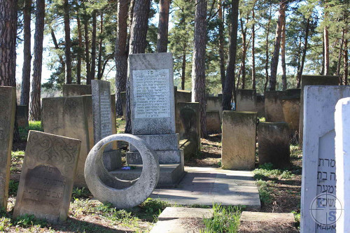 Slawuta, 2013, Jüdischer Friedhof, Jewgennij Schnajder