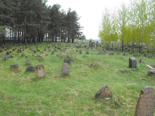 Borissow, 2011, Jüdischer Friedhof, Vadim Akopyan