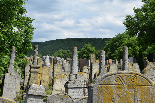 Vălcineţ, 2017, Jüdischer Friedhof, Maren Röger