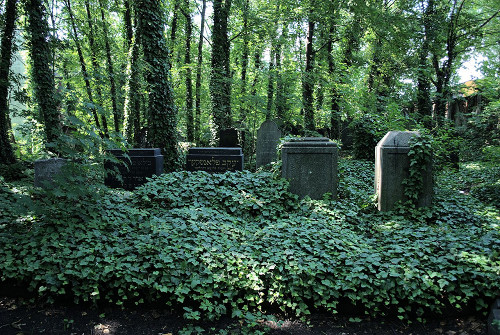 Gleiwitz, 2012, Jüdischer Friedhof, Tomasz Górny