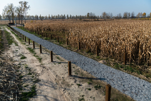 Baraschi, 2019, Weg zum Denkmal, Stiftung Denkmal, Anna Voitenko