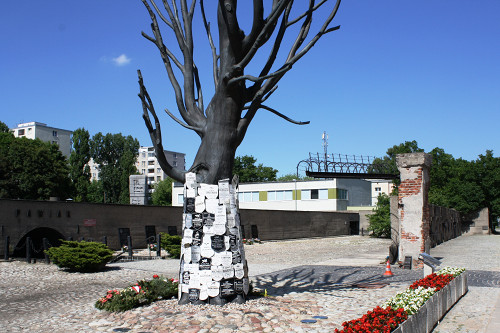 Warschau, 2013, Bronzebaum und Eingangsbereich, Stiftung Denkmal