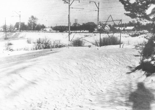 Rumbula, 1962, Von jüdischen Dissidenten heimlich aufgestellter Davidstern als Erinnerungszeichen, Muzejs »Ebreji Latvijā«