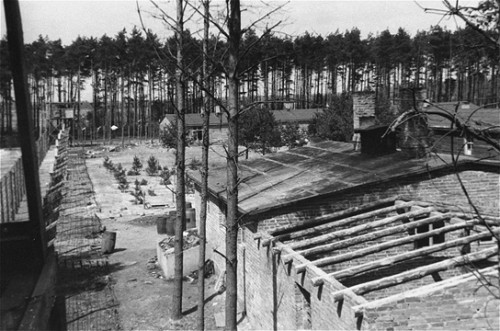 Wöbbelin, Frühjahr 1945, Das Lager kurz nach der Befreiung durch die US-Armee, USHMM