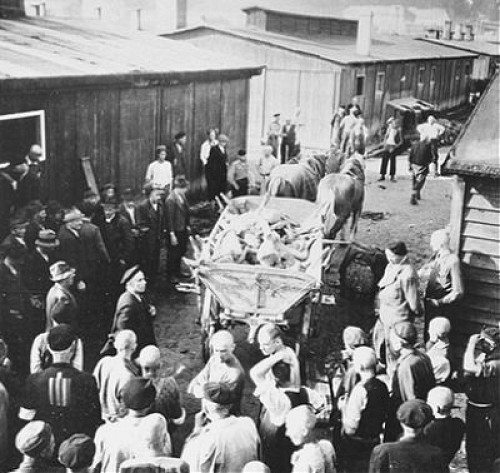 Gusen, 8. Mai 1945, Abtransport von etwa 2.000 Leichen aus den Lagern Gusen I und II, USHMM, US Signal Corps