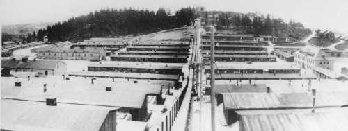 Flossenbürg, 23. April 1945, Nach der Befreiung: links das Häftlingslager, rechts der SS-Verwaltungsbereich, KZ-Gedenkstätte Flossenbürg